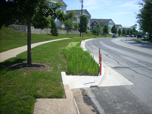 Image of Curb Extension