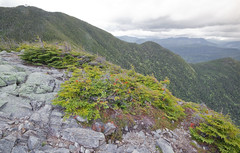 Mt. Carrigain - elevation, 4,700 ft.