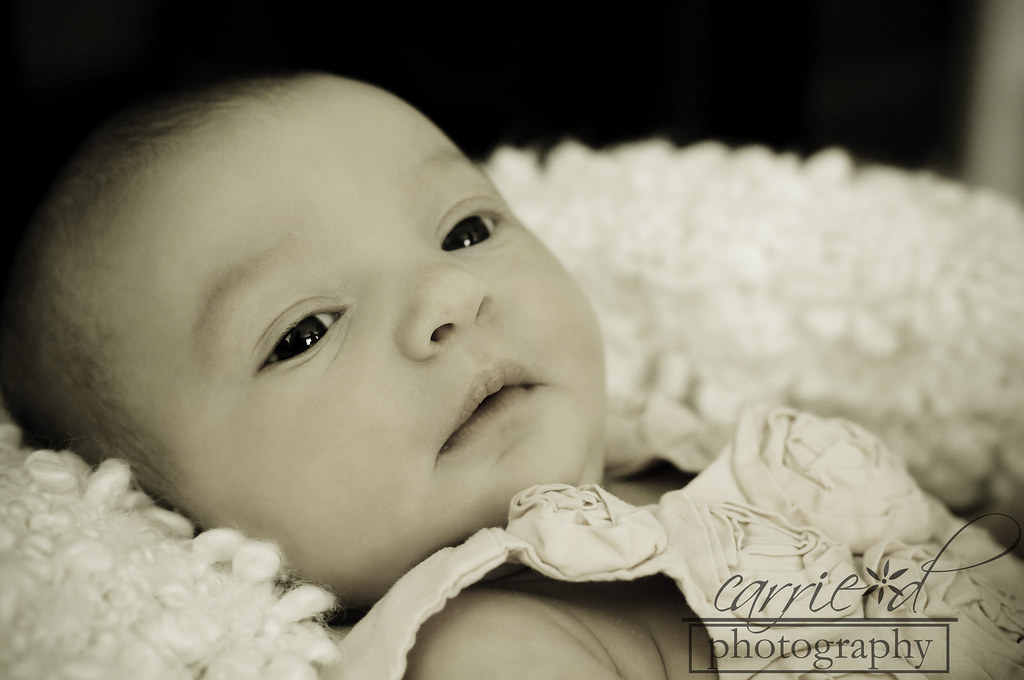 Alexandria Newborn Photographer - Finley 4-8-2012 (9 of 437)BLOG