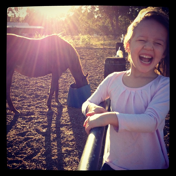 Sophie at the farm this morning..