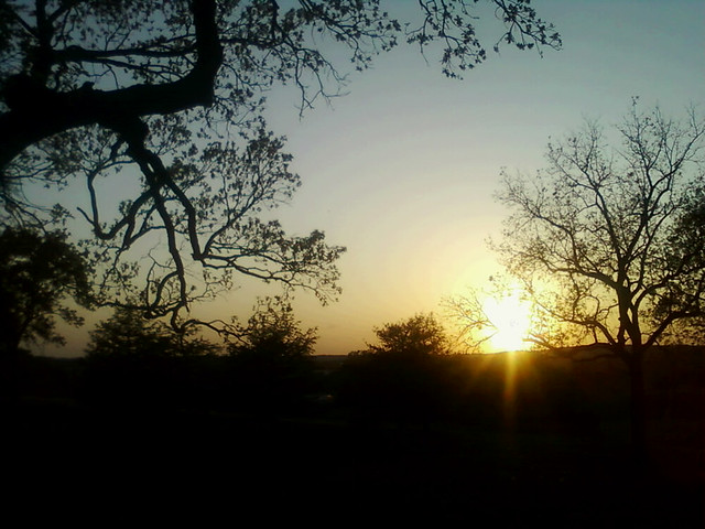 A Waggin Tails Dog Park Sunset