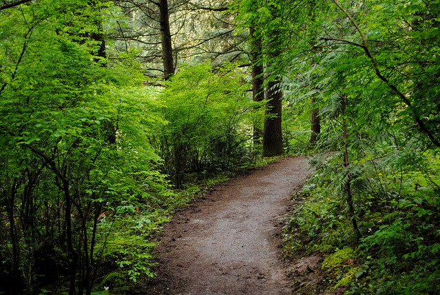 Hoyt Arboretum - Portland, Oregon