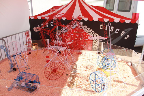Mount Isa Show Mouse Circus