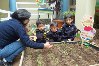 CASP y ANIA enseñan a cuidar el medio ambiente a niños y jóvenes con habilidades diferentes