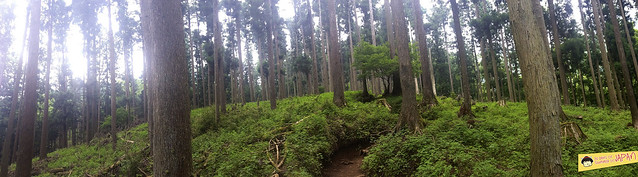 Hiking Mt. Nabewari - day trip from Tokyo - views 2