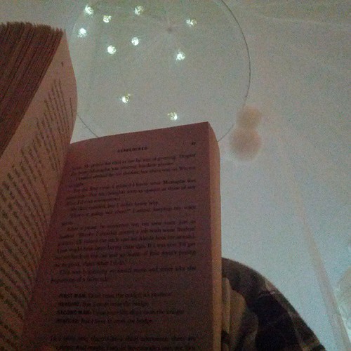 A picture of my Sookie Stackhouse novel resting on my knee, in plaid pyjama's. You can see my musquito net canopy with bows, some pompoms and string lighting. My bed is a fort.