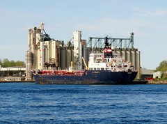 2013 Great Lakes Shipping