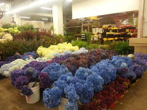 洛杉矶花卉市场的俄勒冈海岸花卉.
