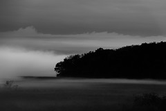 Dark and Foggy_46047_.jpg by Mully410 * Images
