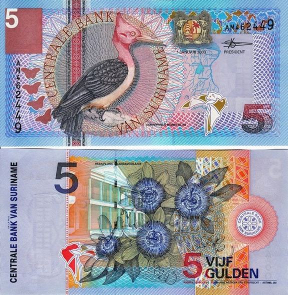 5 Gulden Surinam 2000, Suriname 146
