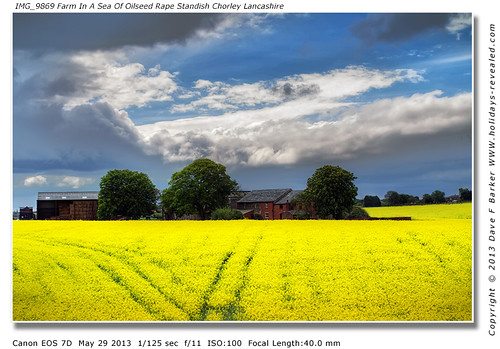 IMG_9869 Farm In A Sea Of Oilseed Rape Flowers Standish Chorley Lancashire by Just Daves Photos