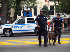 NYPD Police Transit Bureau K-9 Unit, West Indian American Day Carnival Parade 2013, Brooklyn, New York City