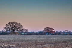 Winter In Rural Oxfordshire
