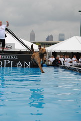Purina Dog Challenge, 2012/03/31