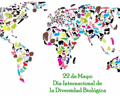 Dia Internacional da Biodiversidade - 22 de Maio