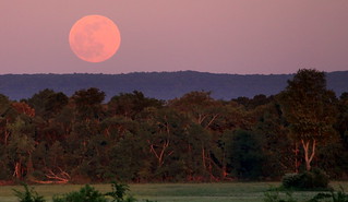 The Full Moon Rises over the Cumberland Plateau