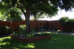 			Klaus Naujok posted a photo:	Pictures of my backyard. We love our tree, without the shade we would not have all those flowers. All photos taken with the Minolta AF 28-135mm F/4-4.5 lens.