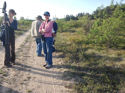 Kirtland's Warbler trip 2013--our expert leader at far left, and people photographing a Vesper Sparrow nest on the ground just to the right.