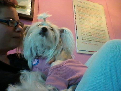 Petal having a (brief) cuddle with me :)