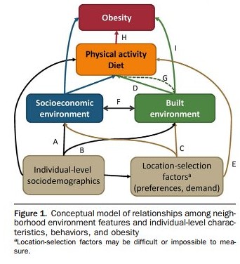 Diagram on factors impacting obesity