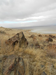 Feb 27, 2012 d (Antelope Island, Utah)