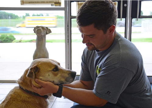 Those impacted by the Moore tornadoes continue to be reunited with their animals. All Photos are Courtesy of the ODAFF.