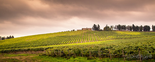 Toscana,Italia by David Butali
