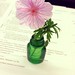 Flower for desk: check!