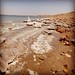Salt from Dead Sea #jordan
