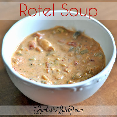 Rotel Soup