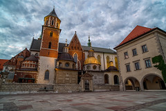 Wawel Castle Project - Krakow