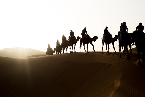 無料写真素材|自然風景|砂漠|ラクダ|サハラ砂漠|人物動物