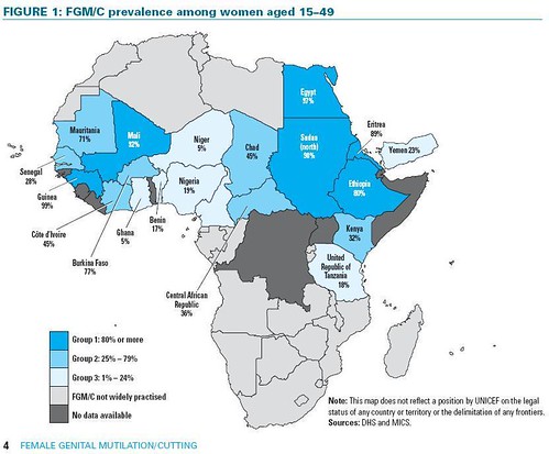 Copy of Female-Genital-Mutilation-Statistics-in-Africa-human-rights-3033792-832-688