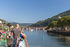 Heidelberg - Neckarsteinach Ship Tour