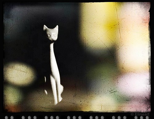 334/365- Mysterious Cat by elineart