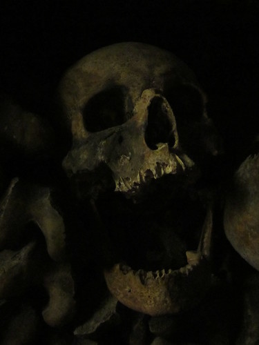 Skulls, Catacombs of Paris