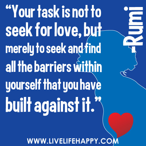 "Your task is not to seek for love, but merely to seek and find all the barriers within yourself that you have built against it." -Rumi