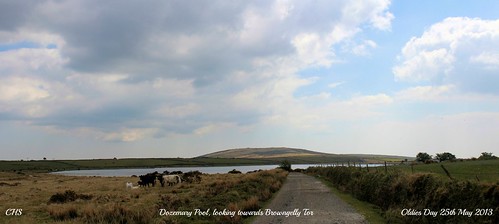 Dozemary Pool, looking towards Browngelly Tor by Stocker Images