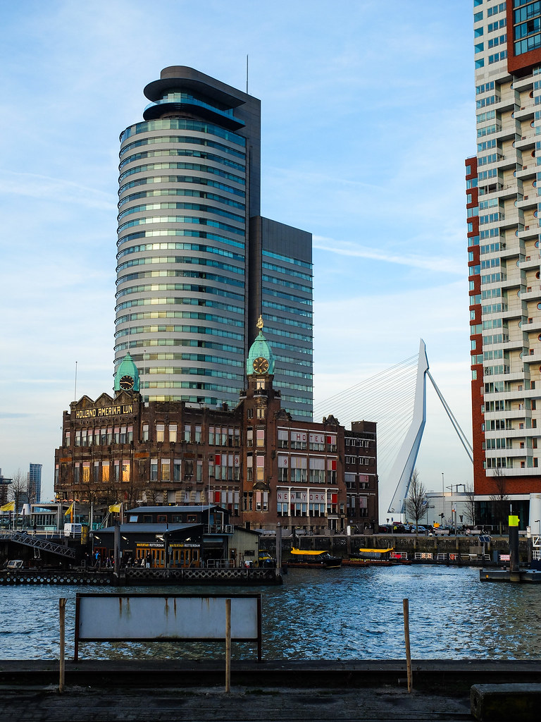 Rotterdam (10 of 44).jpg