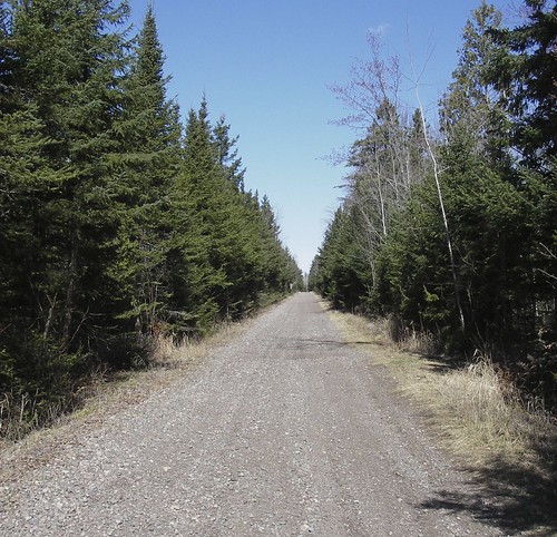 Cloquet Trail