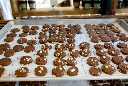 Our chocolate shortbread cookies, baked and cooling
