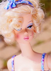 Barbie Silkstone Lingerie #4