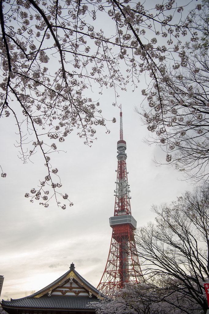 MAC_1706東京鐵塔