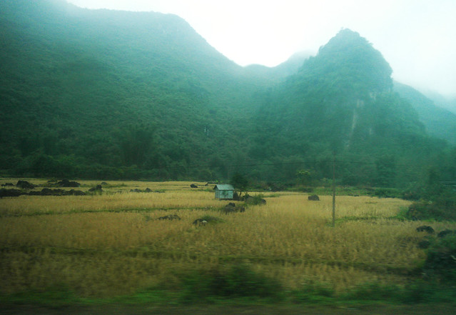 guangxi scenery