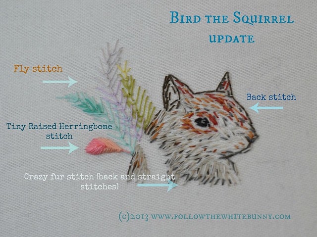 bird the squirrel update