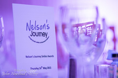 Nelson's Journey