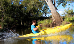 kayaking up oakey creek