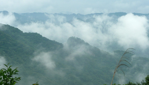 Mountain Clouds along the North 31 (北31) Road