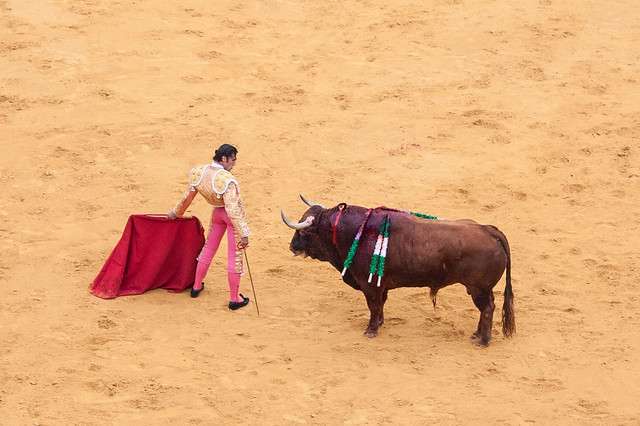 Bullfight-143.jpg