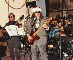 My Fenderbird Bass - 1976-1991 and beyond